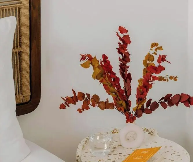 Fotos del hotel Hôtel Simone Cannes Centre:  25