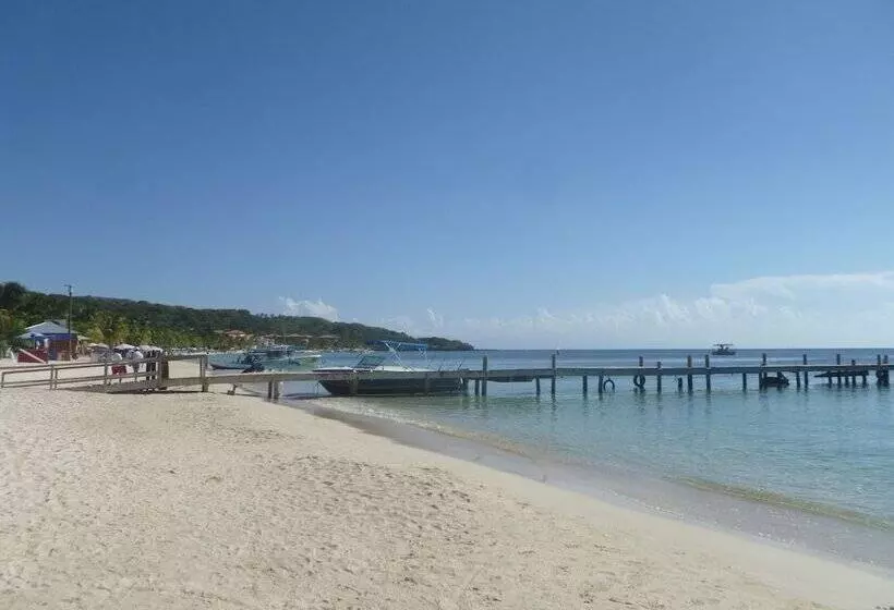 Fotos del hotel Fosters West Bay Resort:  13