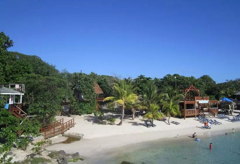 Fotos del hotel Fosters West Bay Resort:  19