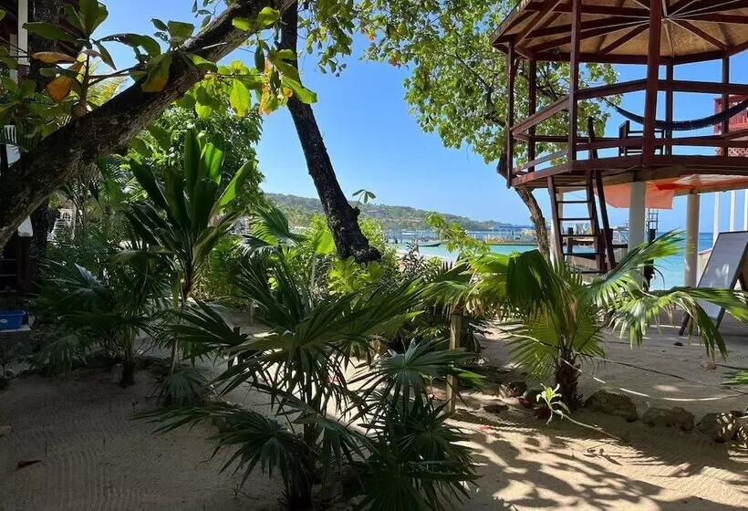 Fotos del hotel Fosters West Bay Resort:  5