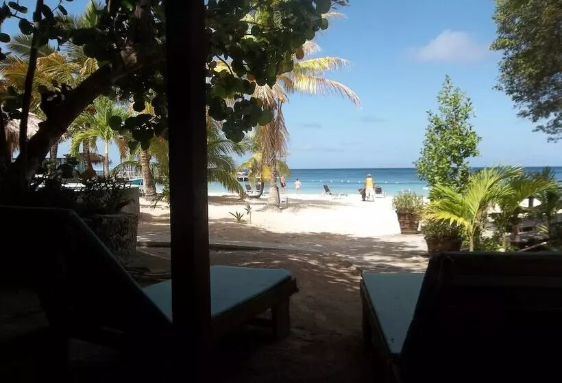 Fotos del hotel Fosters West Bay Resort:  18