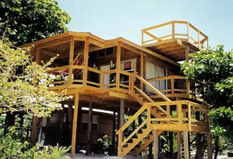 Fotos del hotel Fosters West Bay Resort:  17