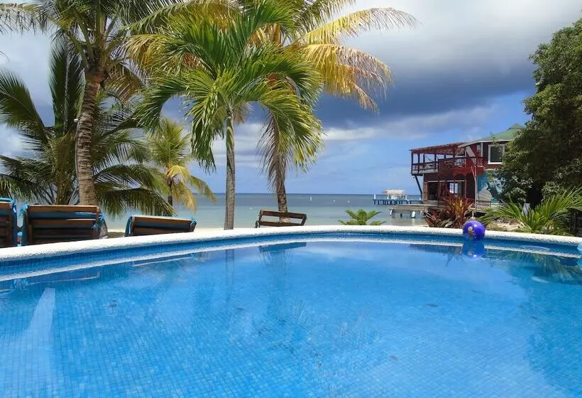 Fotos del hotel Fosters West Bay Resort:  6
