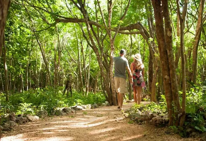Fotos del hotel Akumal Natura Glamping:  15