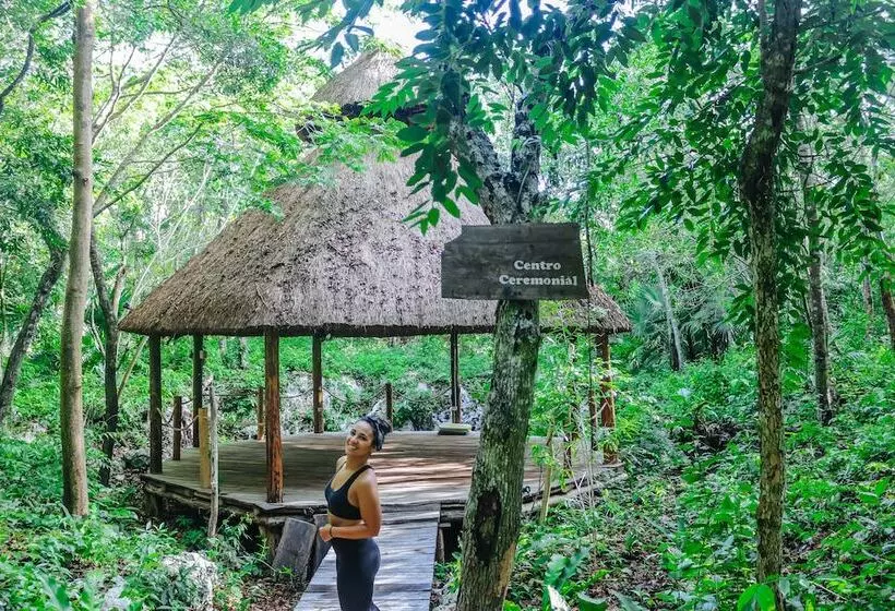 Fotos del hotel Akumal Natura Glamping:  10