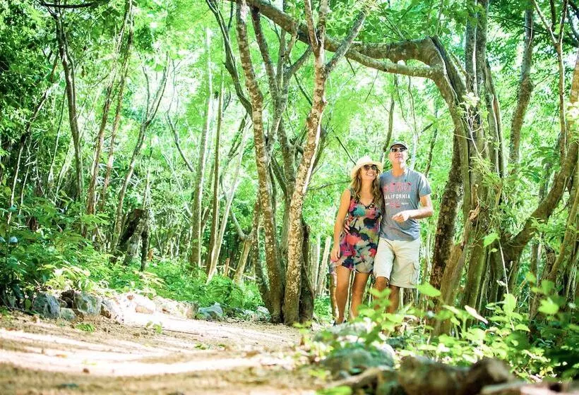 Fotos del hotel Akumal Natura Glamping:  5