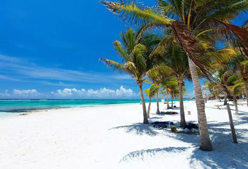 Fotos del hotel Akumal Natura Glamping:  2