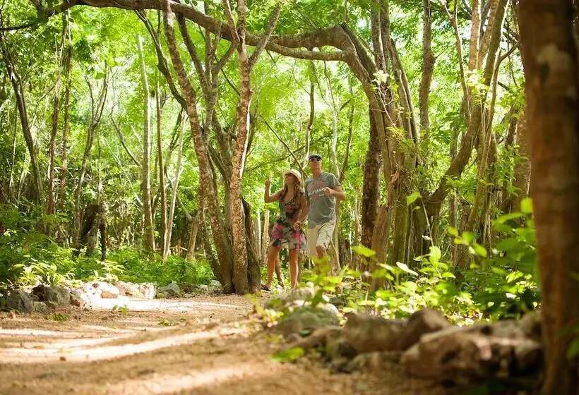 Fotos del hotel Akumal Natura Glamping:  19