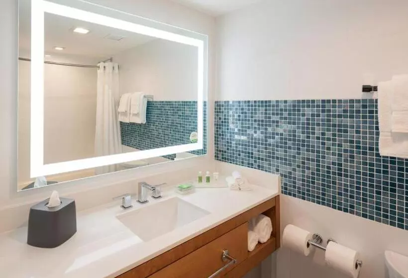 Fotos del hotel Holiday Inn Miami North I95, An Ihg:  18