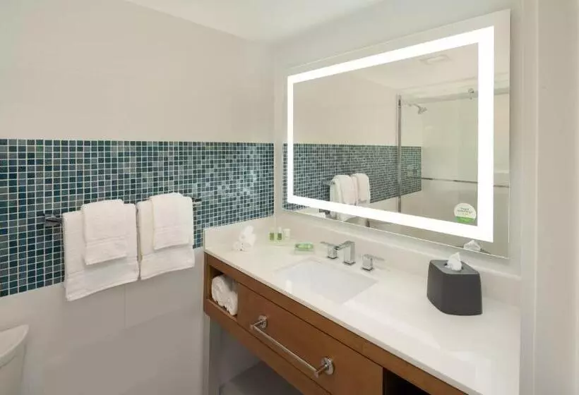 Fotos del hotel Holiday Inn Miami North I95, An Ihg:  20