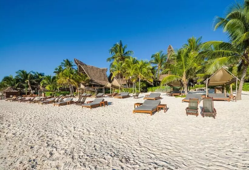 Ahau Tulum