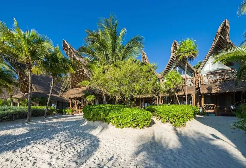 Fotos del hotel Ahau Tulum:  20