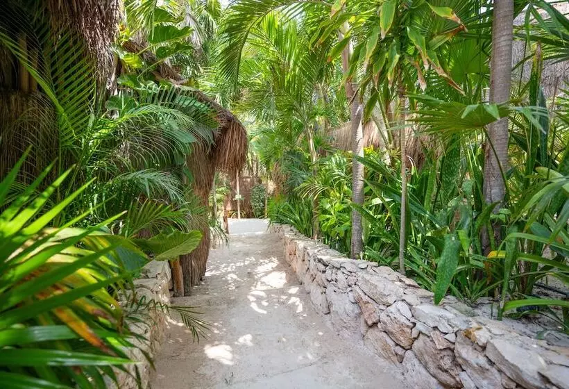Fotos del hotel Ahau Tulum:  16