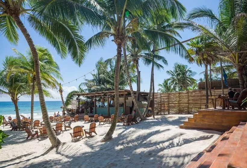 Fotos del hotel Ahau Tulum:  22