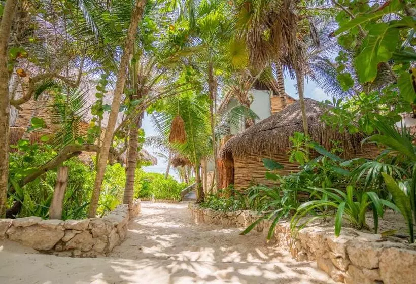 Fotos del hotel Ahau Tulum:  10