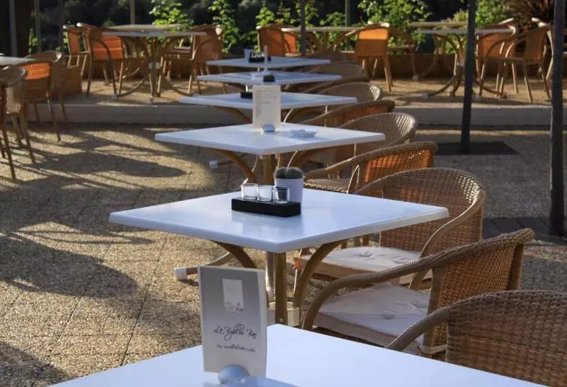 Fotos del hotel Le Domaine De L Oriu:  16