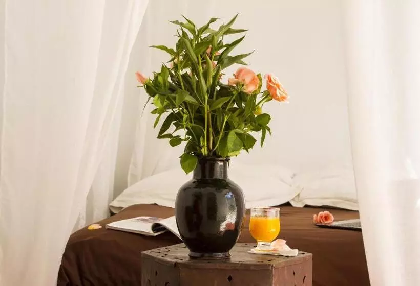 Fotos del hotel Riad Dar Thalge:  23