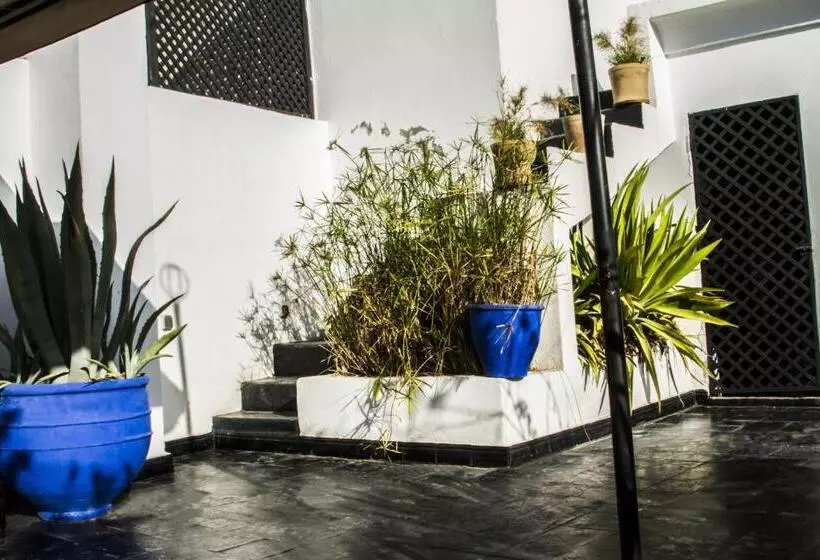 Fotos del hotel Riad Dar Thalge:  11