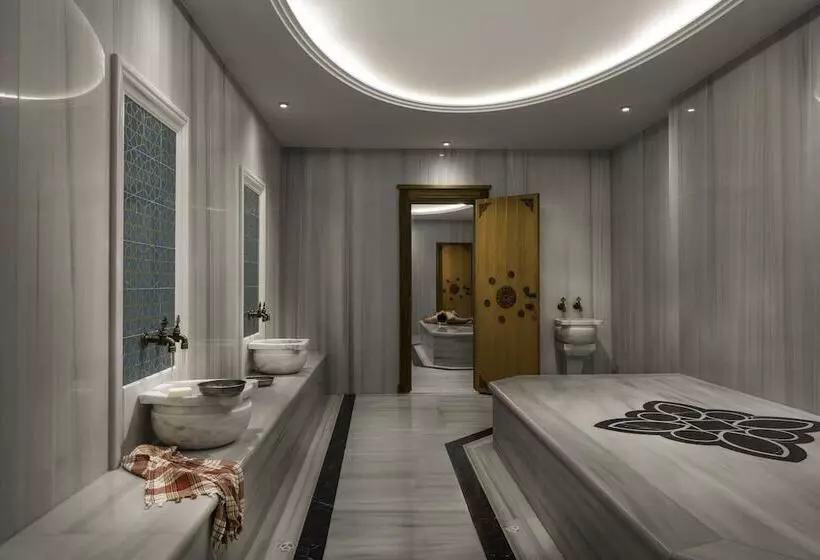 Fotos del hotel Lionel  Istanbul:  15
