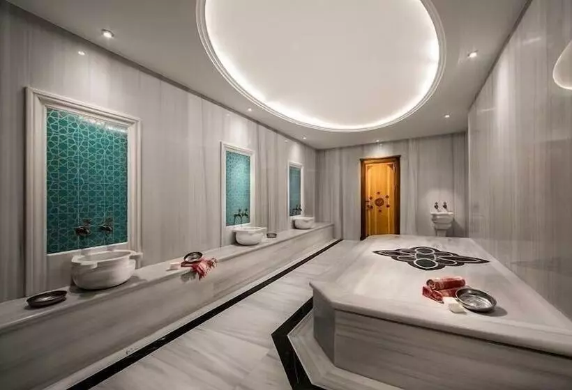 Fotos del hotel Lionel  Istanbul:  7
