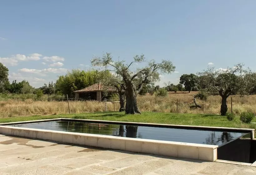 Fotos del hotel Quinta Dos Carvalhos:  16