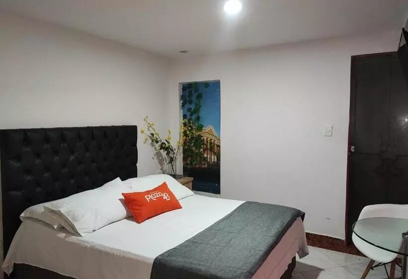 Fotos del hotel Plaza 43:  17