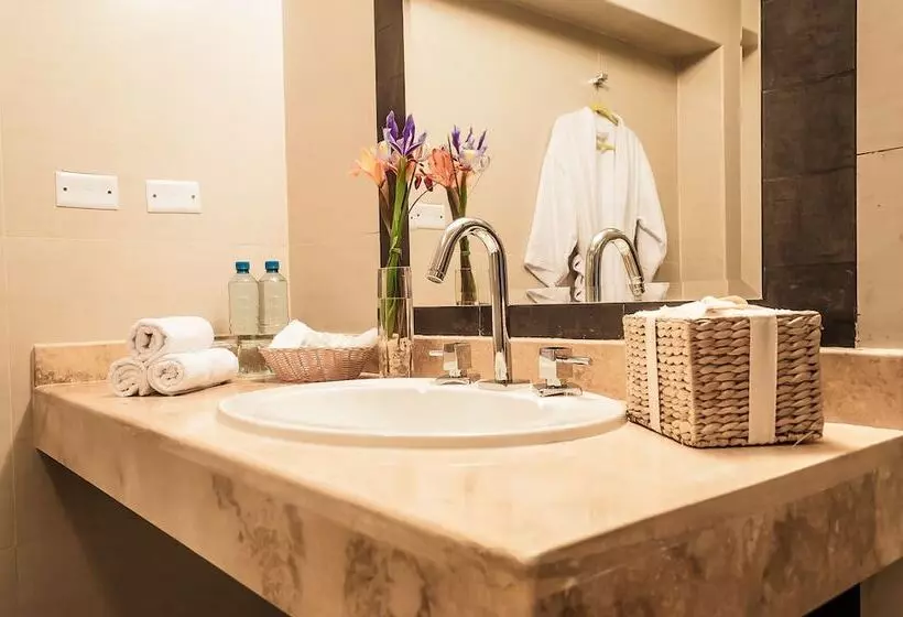 Fotos del hotel Ayenda Andesmar:  19