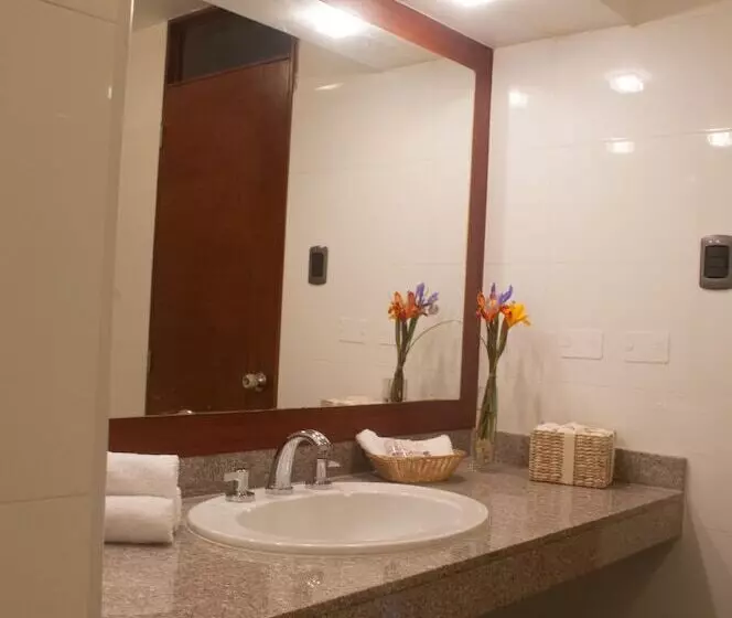 Fotos del hotel Ayenda Andesmar:  21