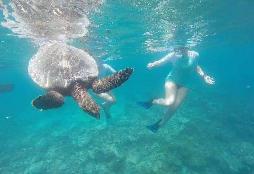 Fotos del hotel White Sand Lodge:  14