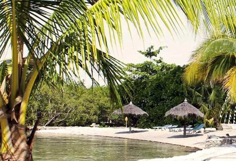 Fotos del hotel Whispering Palms Bungalow Resort:  11