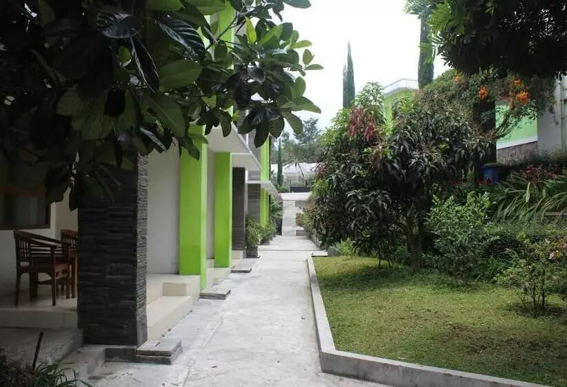 Fotos del hotel Deview:  6