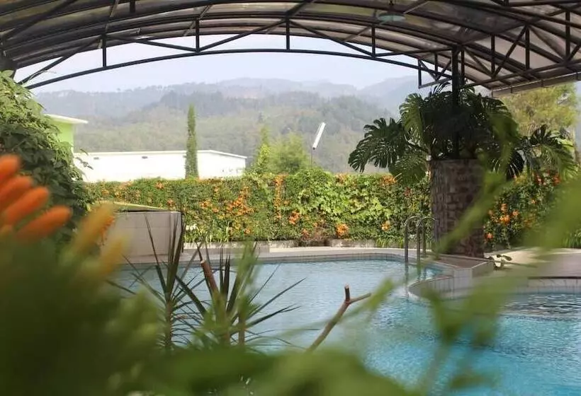 Fotos del hotel Deview:  2