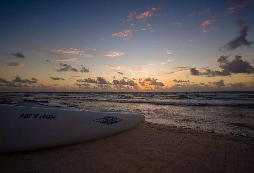 Fotos del hotel O Tulum  Adults Only:  20
