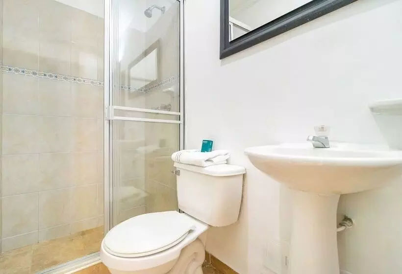 Fotos del hotel Palermo Plaza:  9