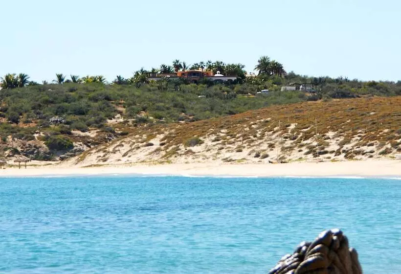 Fotos del hotel Villa Del Faro:  11