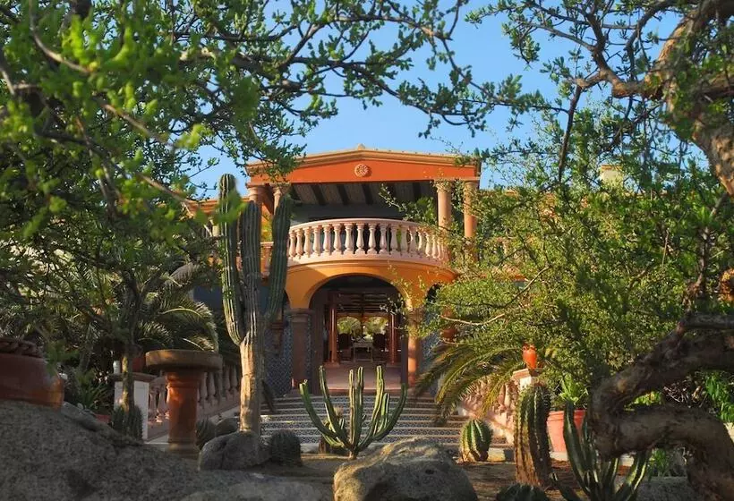 Fotos del hotel Villa Del Faro:  15