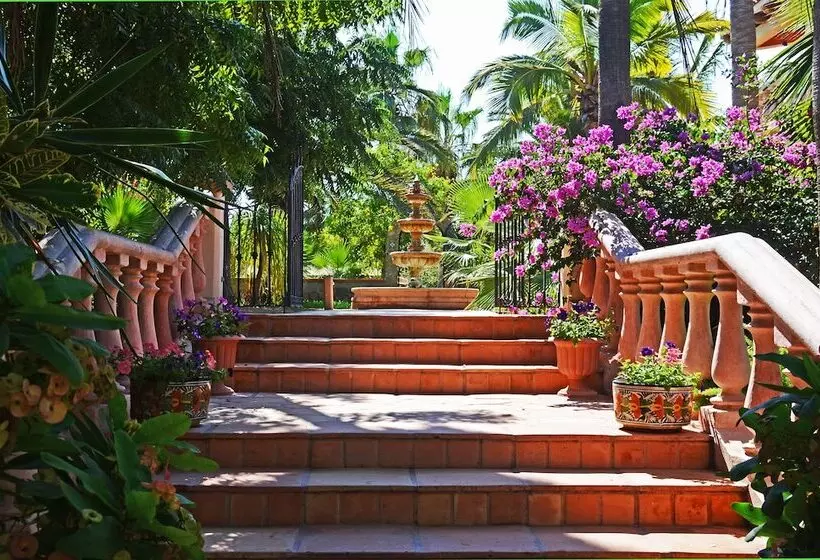 Fotos del hotel Villa Del Faro:  6