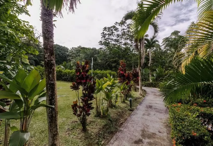 Fotos del hotel Arenal Green:  10