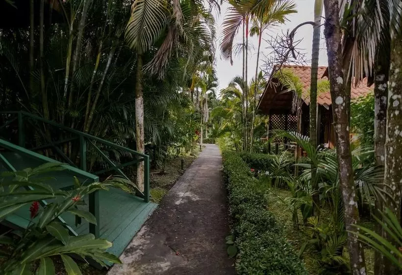 Fotos del hotel Arenal Green:  22