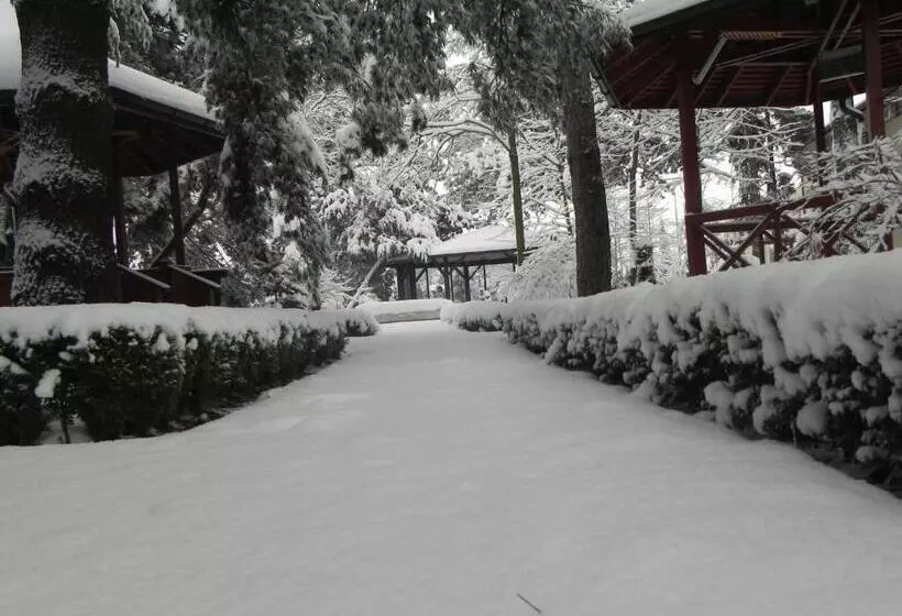 Fotos del hotel Baneasa Parc:  22