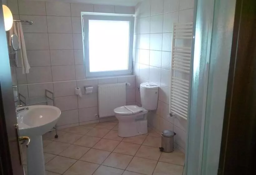Fotos del hotel Baneasa Parc:  7