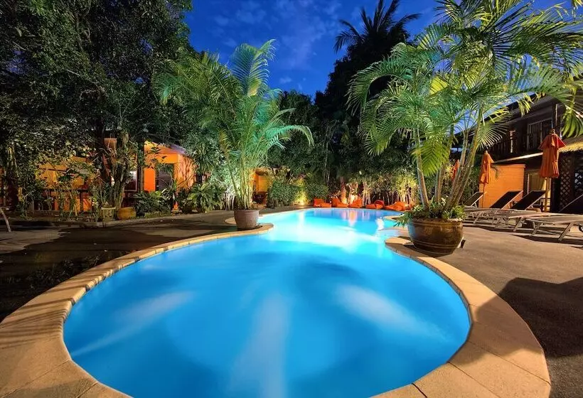 Fotos del hotel Eden Bungalows:  9