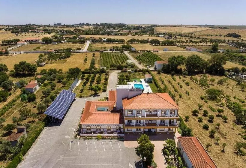 Graca