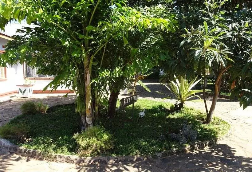 Fotos del hotel White Rose Lodge:  4