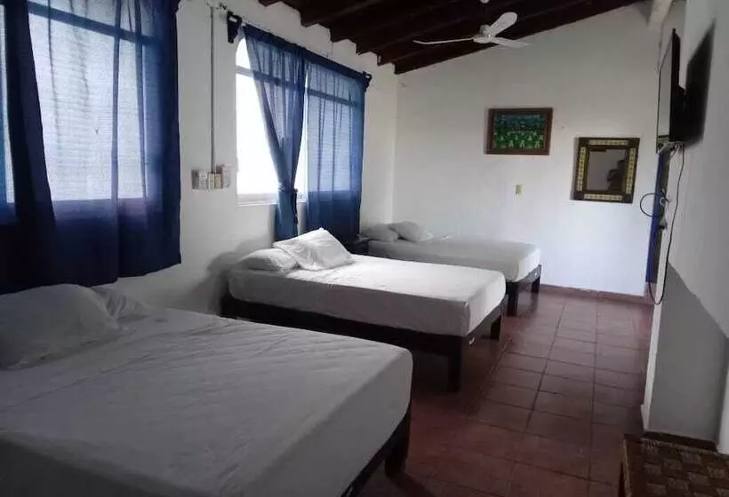 Fotos del hotel & Hostal Mayflower:  8