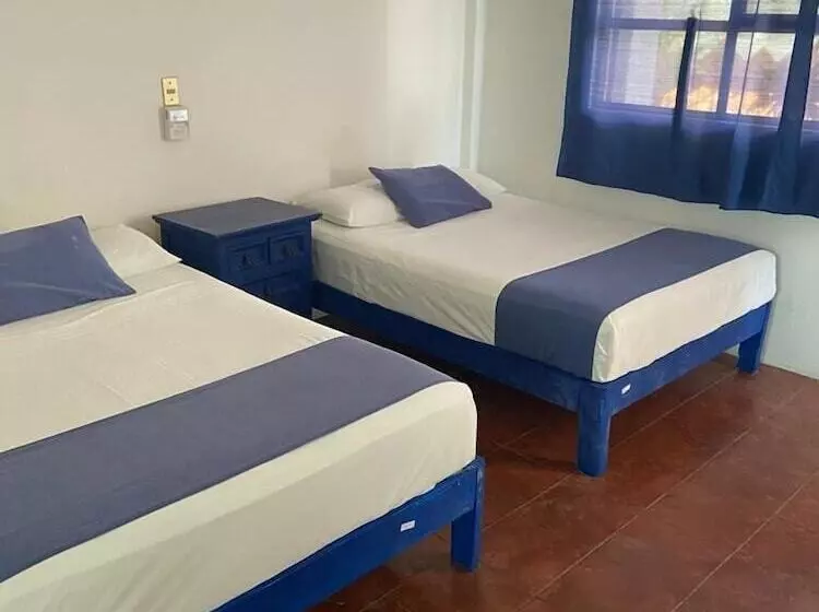 Fotos del hotel & Hostal Mayflower:  12