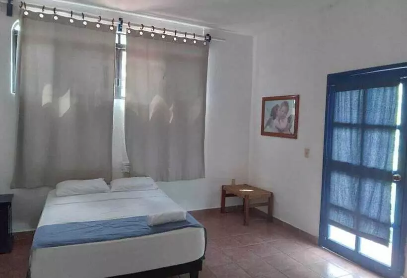 Fotos del hotel & Hostal Mayflower:  13