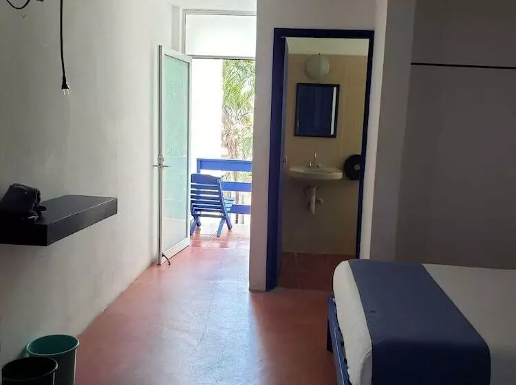 Fotos del hotel & Hostal Mayflower:  19