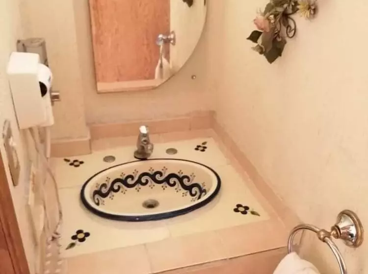 Fotos del hotel Villa Manzanares:  6