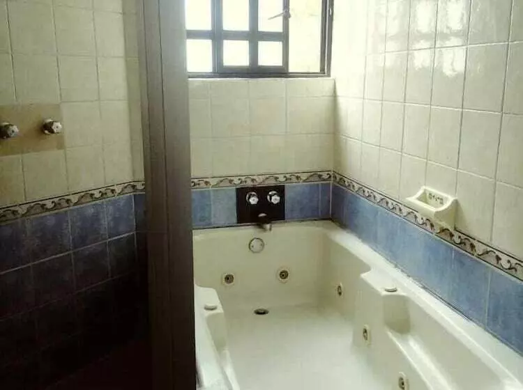 Fotos del hotel Villa Manzanares:  12